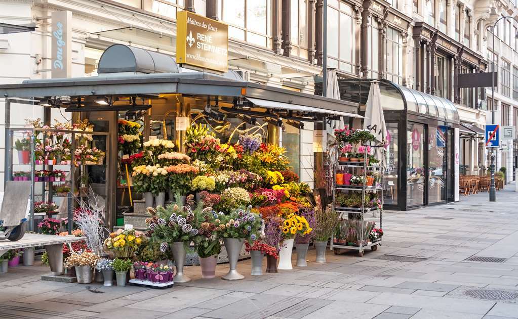 Calmo Vienna